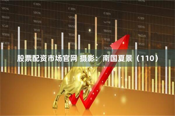 股票配资市场官网 摄影：南国夏景（110）