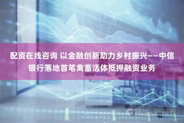 配资在线咨询 以金融创新助力乡村振兴——中信银行落地首笔禽畜活体抵押融资业务